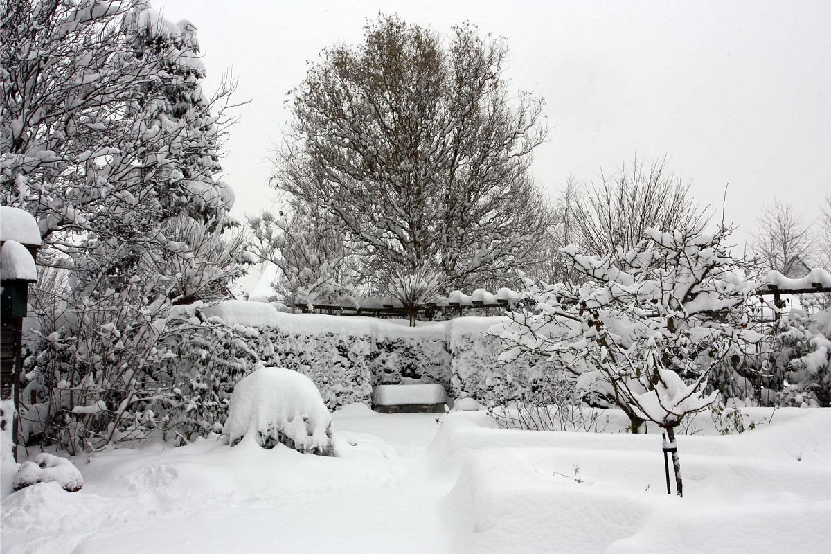 Nog een mooi plaatje van onze tuin onder de sneeuw.