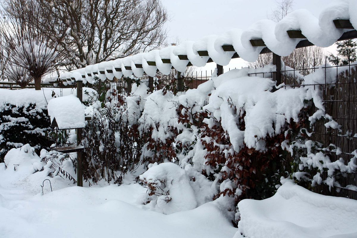 De pergola toont een leuk ritmisch patroon.